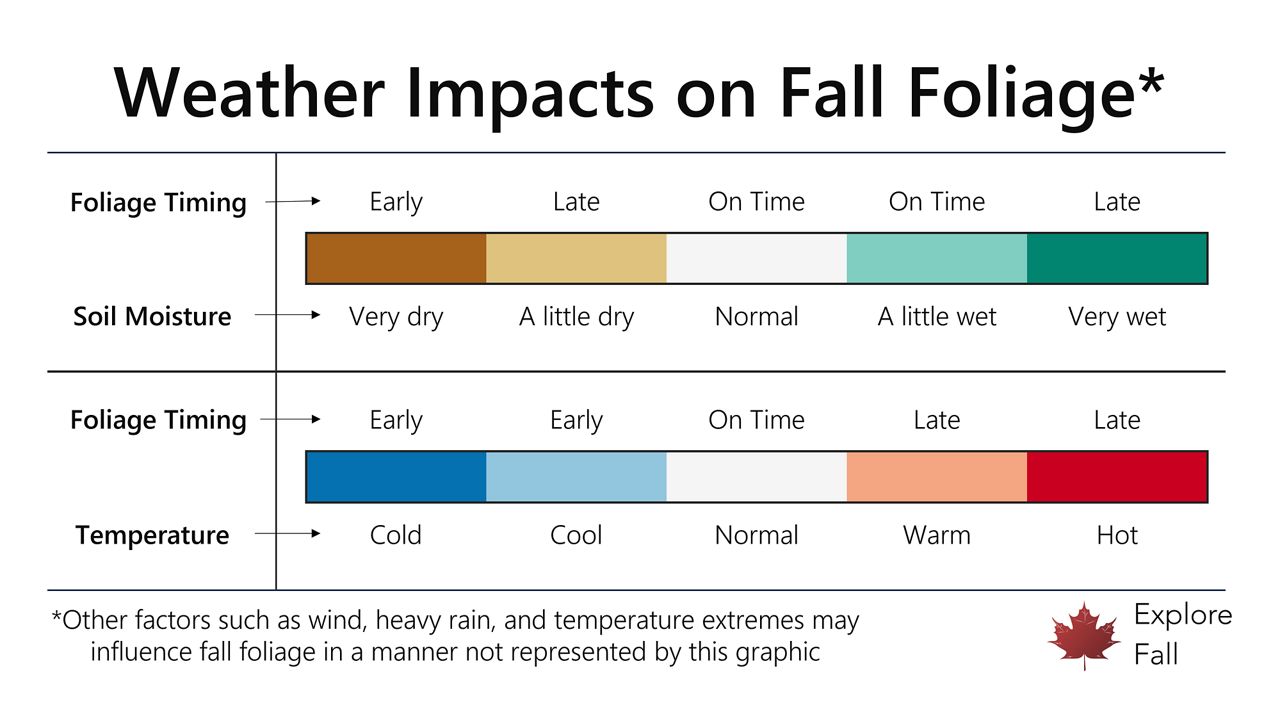 Weather impacts on fall foliage